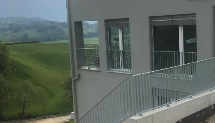 Demontage Gerüst (DEFH Weitblick)