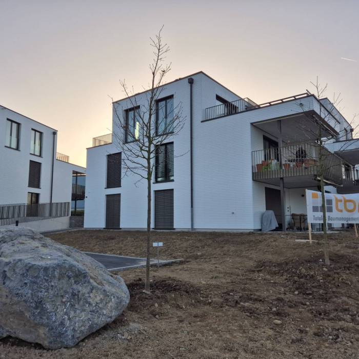 20260305_073415_original