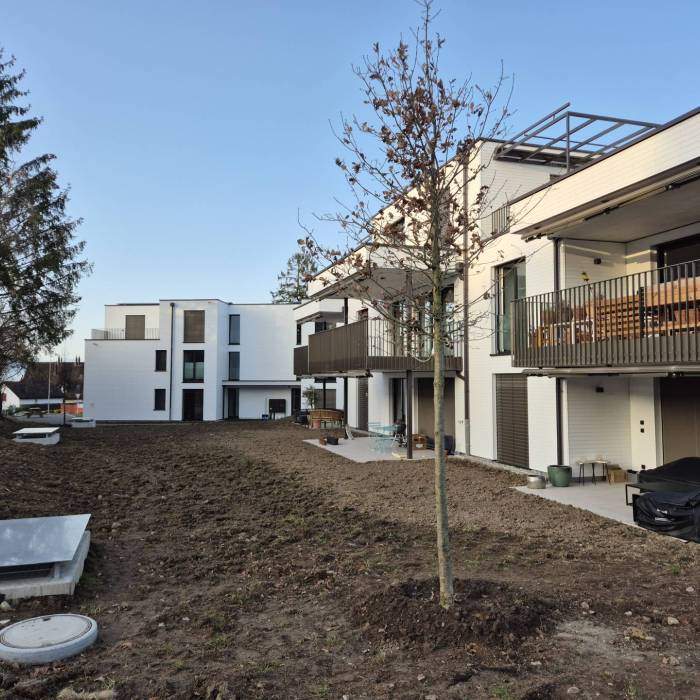 20260305_073723_original