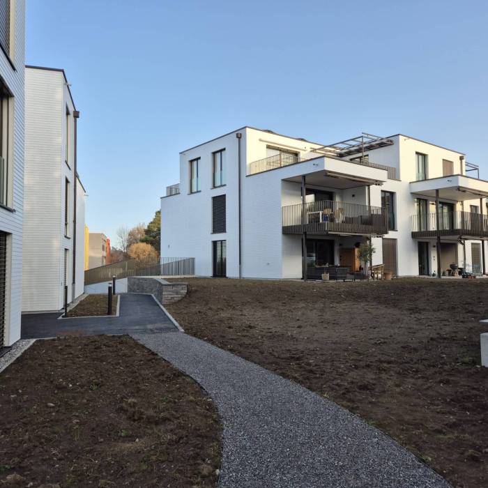 20260305_074427_original