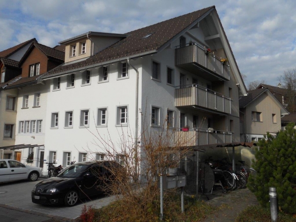 Neubau MFH + Schopf Pfäffikon ZH